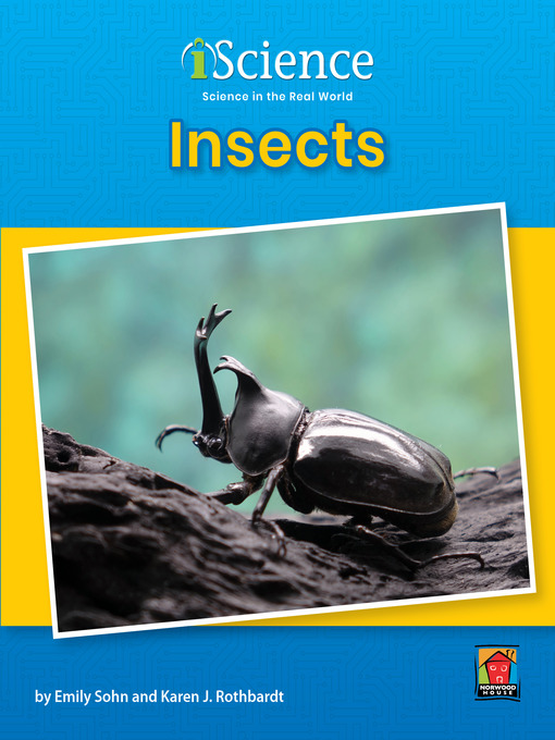 Cover image for Insects